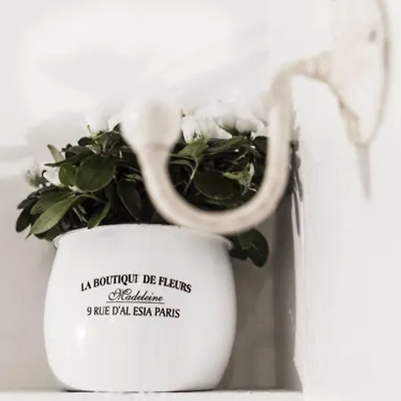 Cervetta 5 Ξενοδοχείο Μόντενα