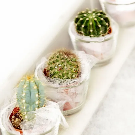 Cervetta 5 Ξενοδοχείο Μόντενα