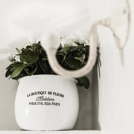 Ξενοδοχείο Cervetta 5 Μόντενα