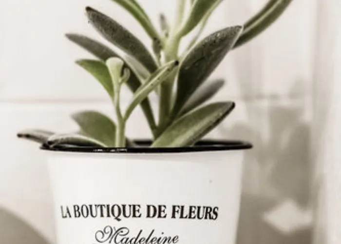 瑟维塔5号酒店 摩德纳