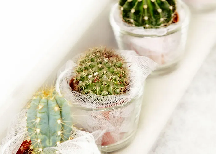 瑟维塔5号酒店 酒店 摩德纳