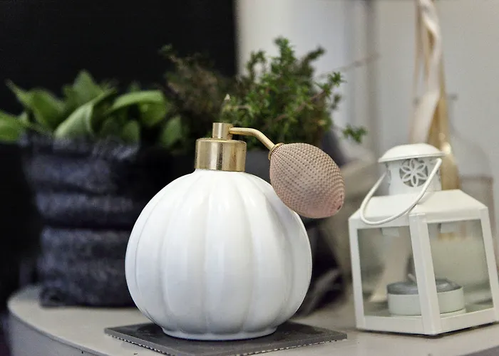 瑟维塔5号酒店 酒店 摩德纳